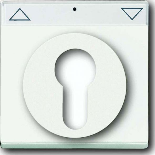 Zentralscheibe stws mt 1755 SL/PZ-884-101