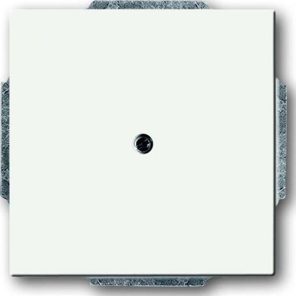 Zentralscheibe ws 1742-884