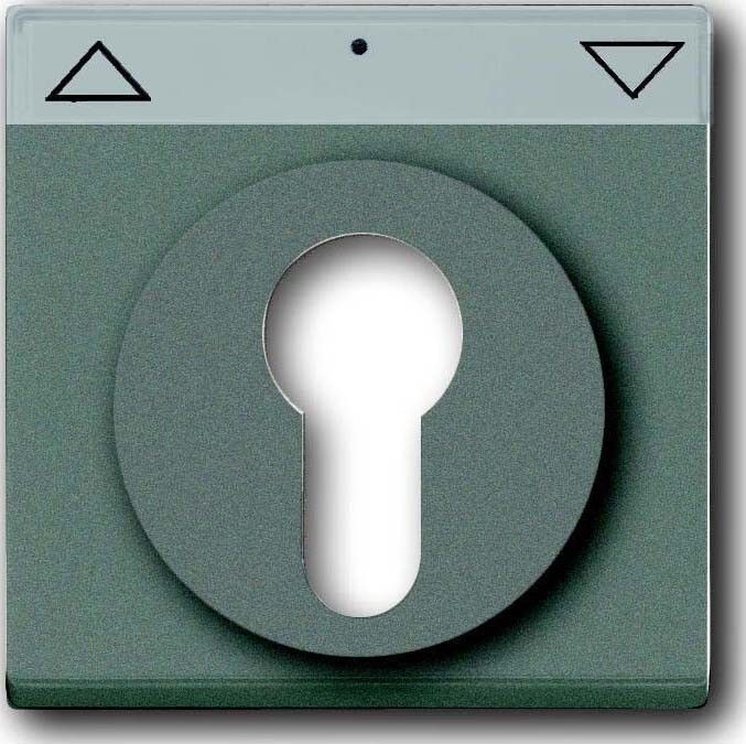 Zentralscheibe meteor/gr 1755 SL/PZ-803-101