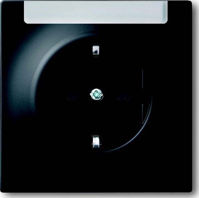 Steckdosen-Einsatz 20 EUN-775