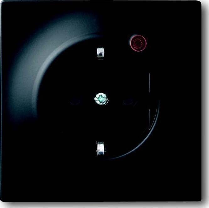 Steckdosen-Einsatz 2310EUGL/VA-775-11