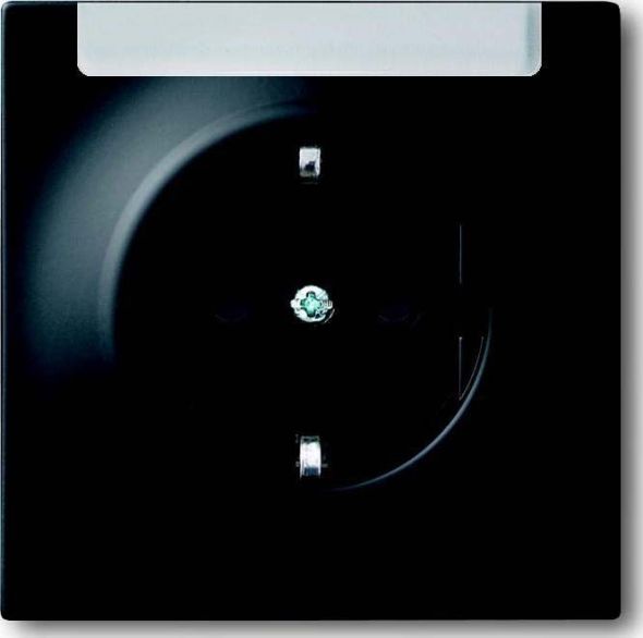 Steckdosen-Einsatz 20 EUN-775