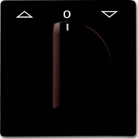 Zentralscheibe braun 2142 DR-31