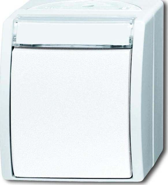 Wechselschalter 2601/6 WN-54