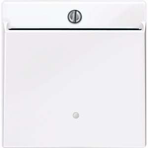 Card Schalter aktivweiß glänzend 315625