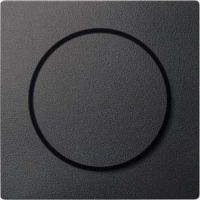 Zentralplatte anthrazit MEG5250-0414