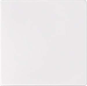 Sensorfläche polarweiß 573819
