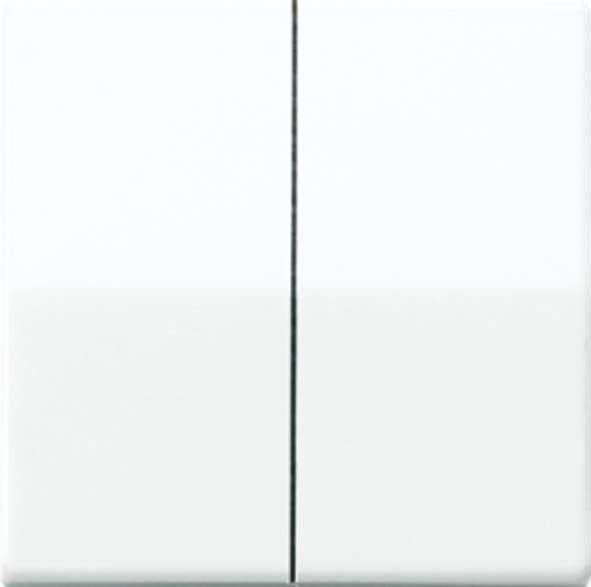 Wippe ws AS 591-5 BF