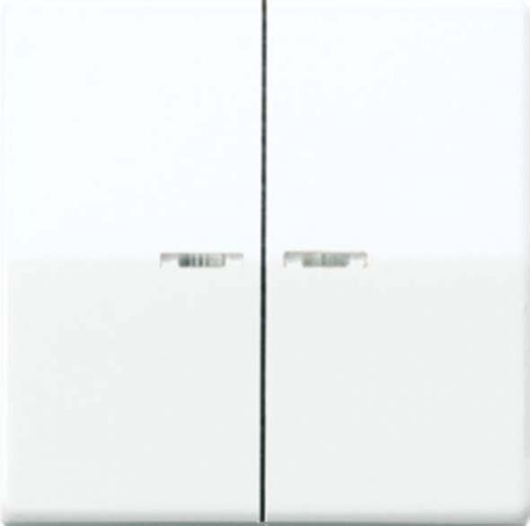 Wippe Lichtleiter ws AS 591-5 KO5BF