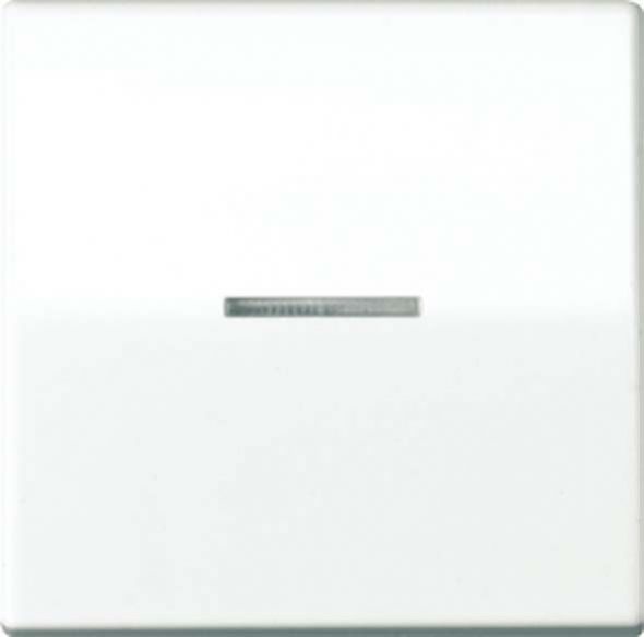 Wippe Lichtleiter ws AS 591 KO5 BF