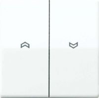 Wippe Symbole ws AS 591-5 P BF