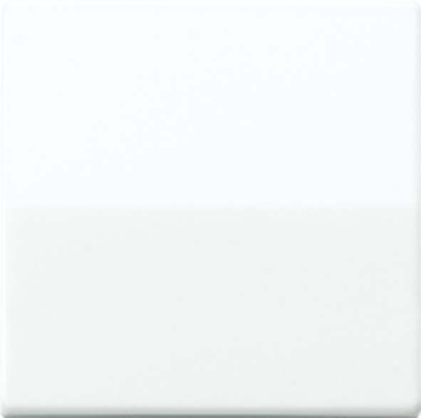 Wippe aws AS 591 BFS WW