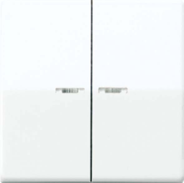 Wippe Lichtleiter aws AS 591-5 KO5 WW