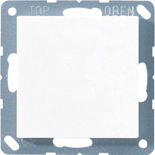 Blind-Abdeckung aws A 594-0 WW