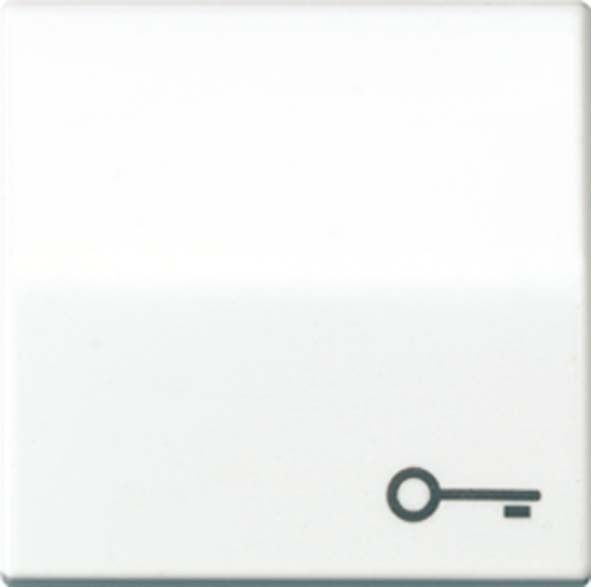 Wippe Symbol TÜR ws ABAS 591 T