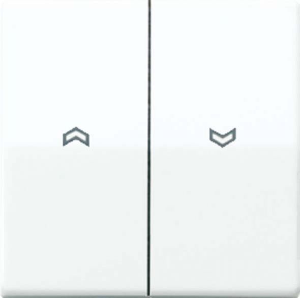 Wippe Symbole ws ABAS 591-5 P
