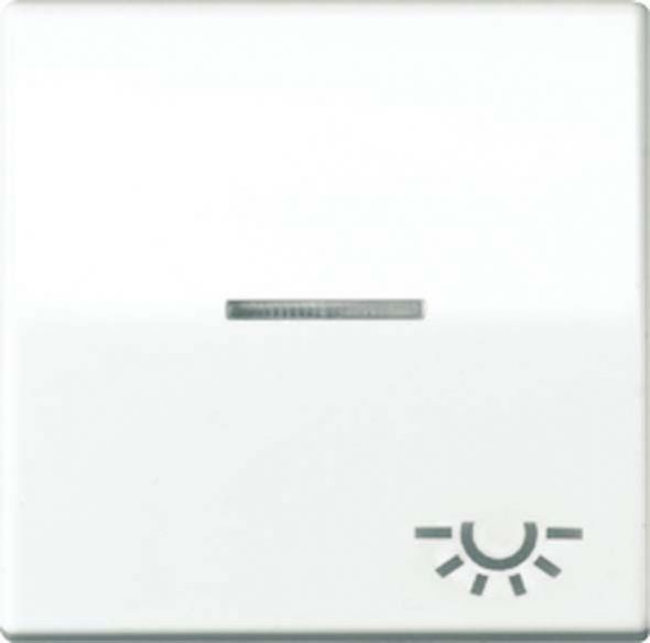 Wippe Symbol LICHT ws ABAS 591 KO5L