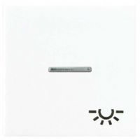 Wippe Symbol LICHT champ A 590 KO5L CH