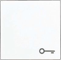 Wippe Symbol TÜR champ A 590 T CH