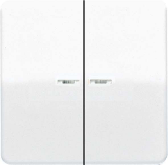 Wippe Lichtleiter aws CD 595 KO5 WW