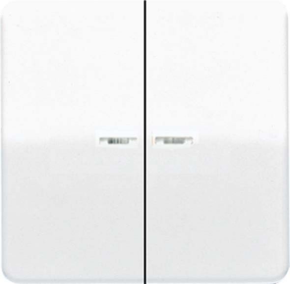Wippe Lichtleiter aws CD 595 KO5BF WW
