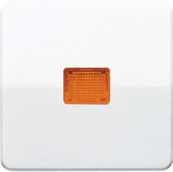 Wippe Lichtfenster aws CD 590 KOBF WW