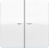 Wippe Lichtleiter aws CD 595 KO5BF WW