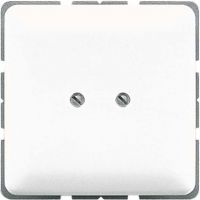 Blind-Abdeckung aws CD 561 B WW