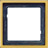 Rahmen 1-fach go GO 2981