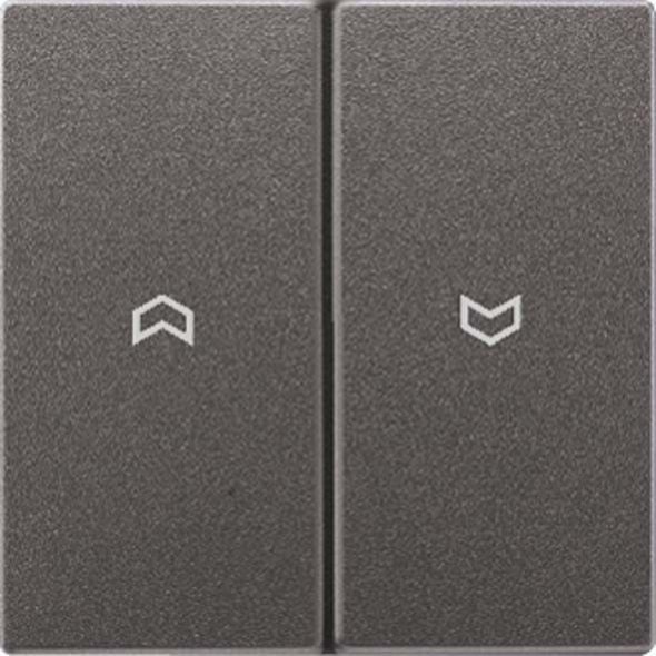 Wippe Symbole anth AL 2995 P AN