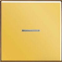 Wippe Lichtleiter go GO 2990 KO 5