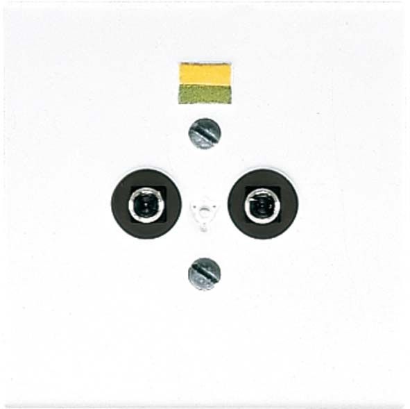 Potential-Ausgl.Steckdose LS 965-2 WW