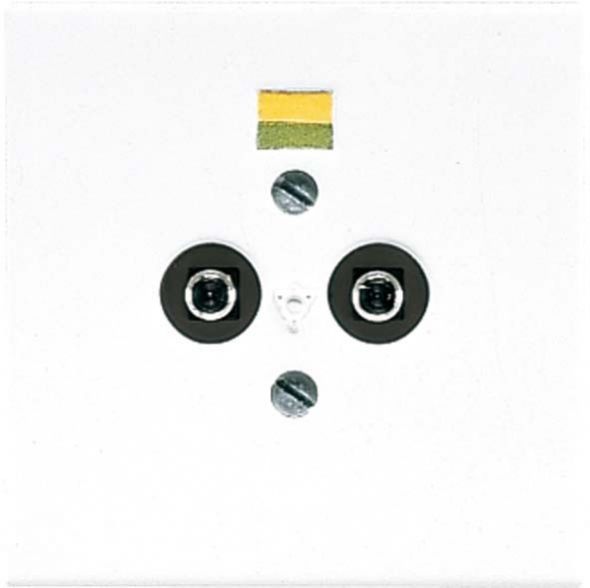 Potential-Ausgl.Steckdose LS 965-2 WW