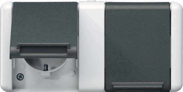 SCHUKO-Steckdose 2-fach 8220 W