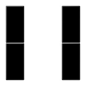 Tastensatz 2-fach LS 502 TSA SW schwarz