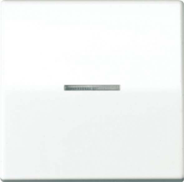 Wippe Lichtleiter aws AS 591 KO5 WW