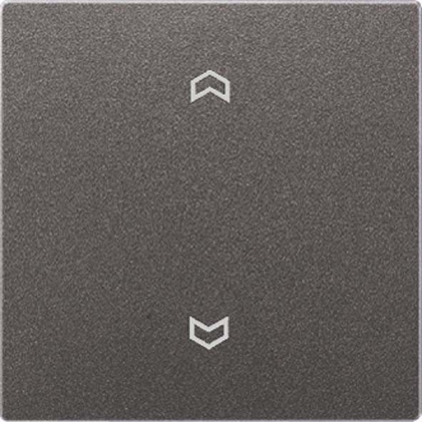 Wippe Symbole anth AL 2990 P AN