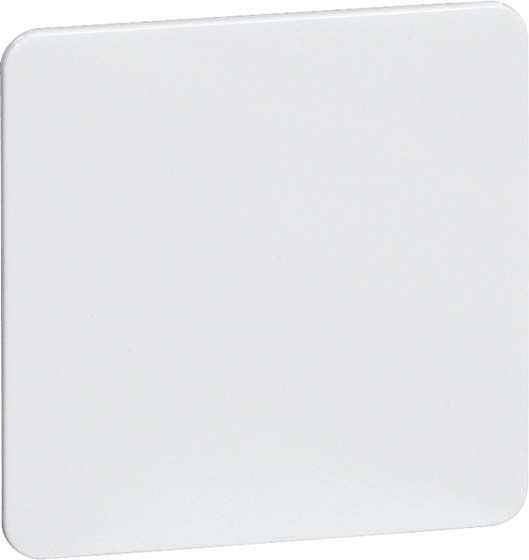 Zentralplatte D 80.677 W