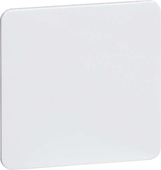 Zentralplatte D 80.677.02