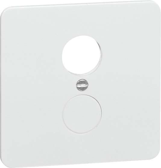 Zentralplatte rws D 80.677.02 DIO