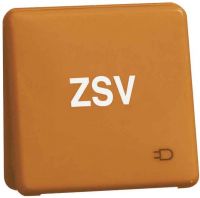 Steckdose D80.6611K GLK OR ZSV