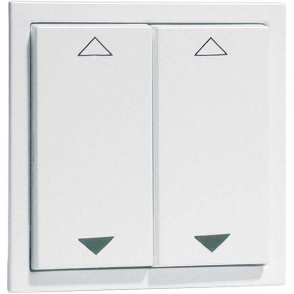 Wandsender rws D 20.455.02 FU-BLSJR