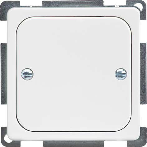 Zentralplatte geschraubt rw 206904