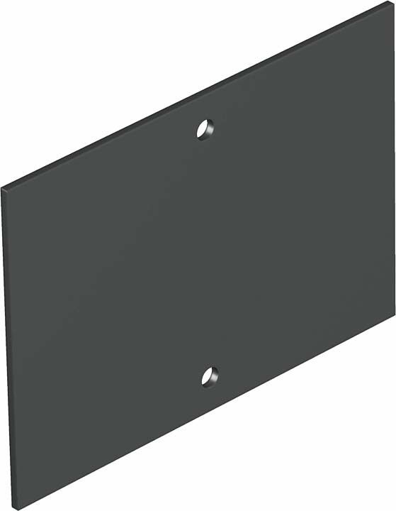 Abdeckplatte T4B P0S2 9011