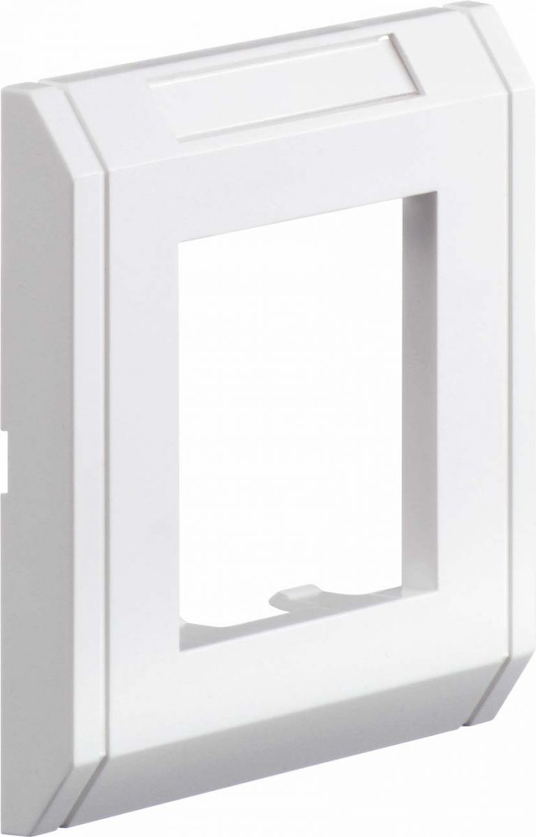 Abdeckrahmen S990-AR1 RW
