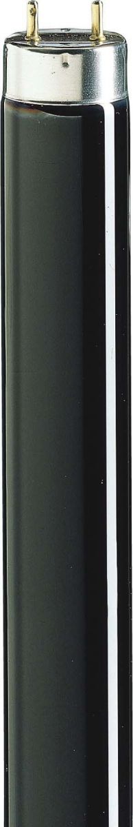 TL-D 36W/08 36W Schwarzlicht