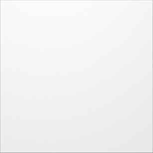 Portier Blindmodul si 1 8766/20