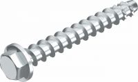 Brandschutz-Schraubanker MMS-plus 10x80