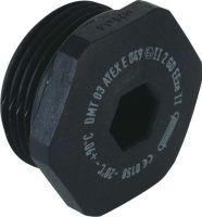 Verschlussschraube 8841.32