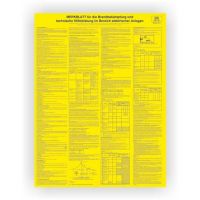 SAH Merkblatt 18 2756